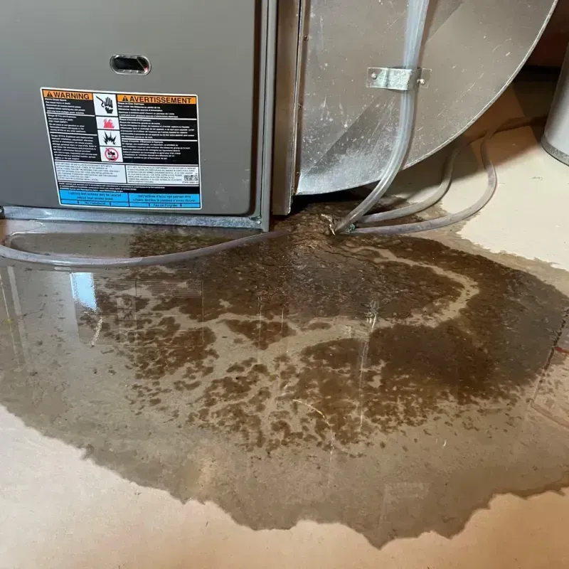 Appliance Leak Cleanup in Muniz, TX